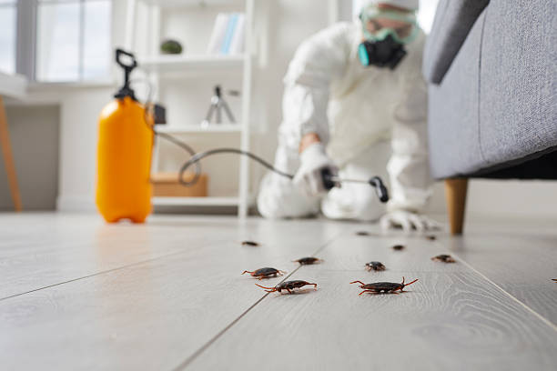 Commercial Kitchen Cockroach Control in Huntingtown